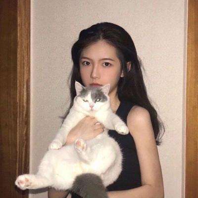 三国志群雄争霸游戏